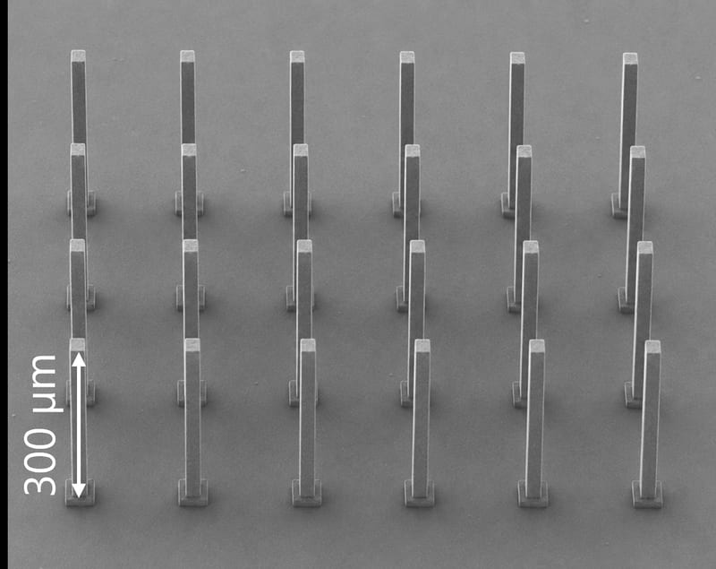 Microscope image of microbeams printed by two-photon polymerization (2PP)