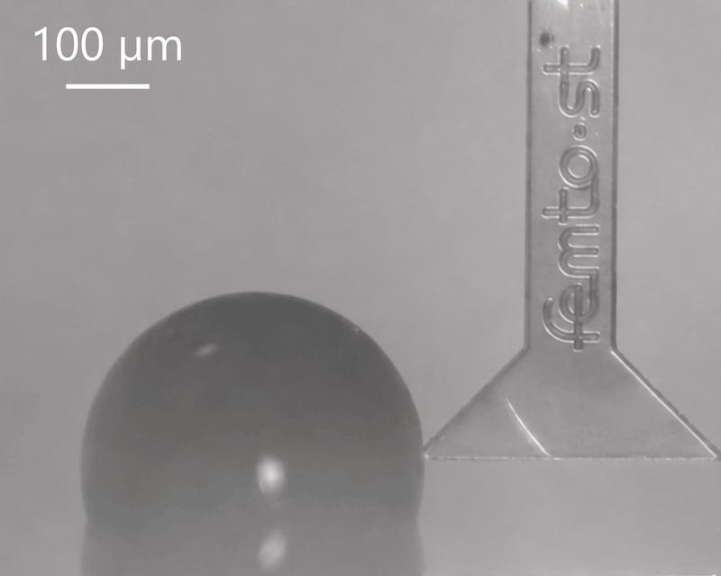 Microforce measurement on a very soft micro-object